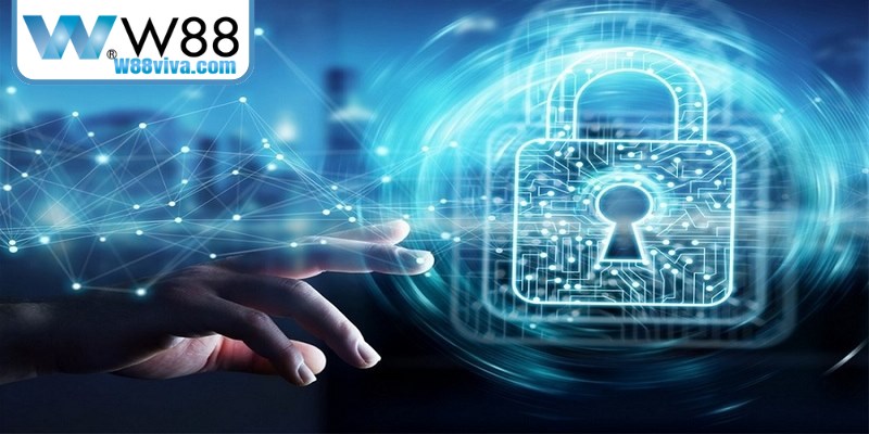 Người dùng phải báo cáo hành vi gian lận, spam hoặc lạm dụng dịch vụ