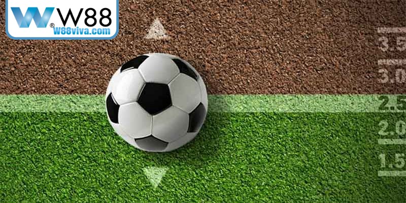 Kinh nghiệm soi kèo châu Âu là gì để giành thắng lớn